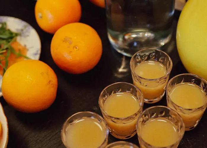 Ryder I Den Bosch - Vught